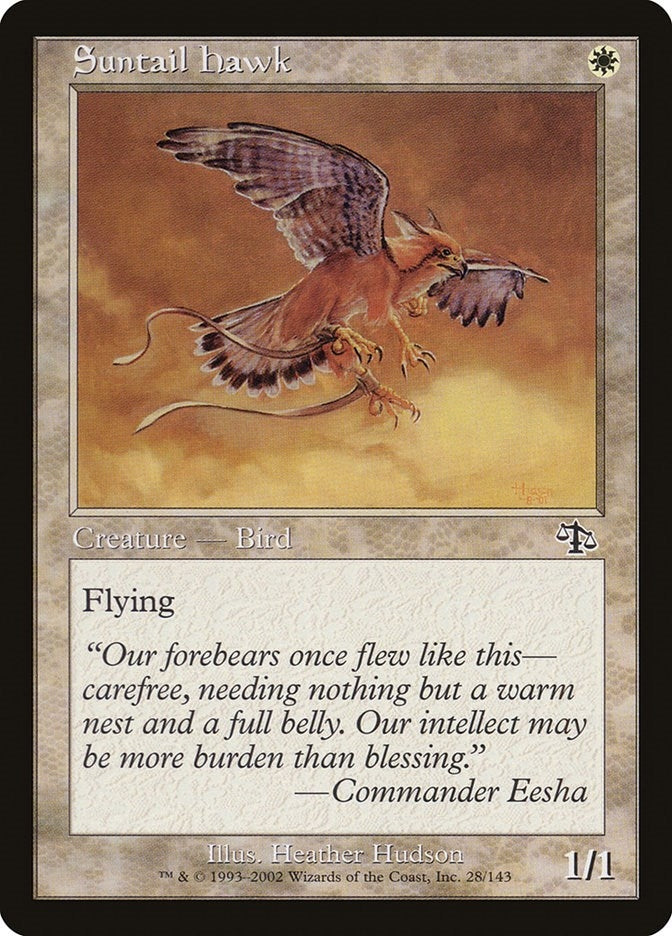 Image for Suntail Hawk (28) [Judgment] - Magic: The Gathering