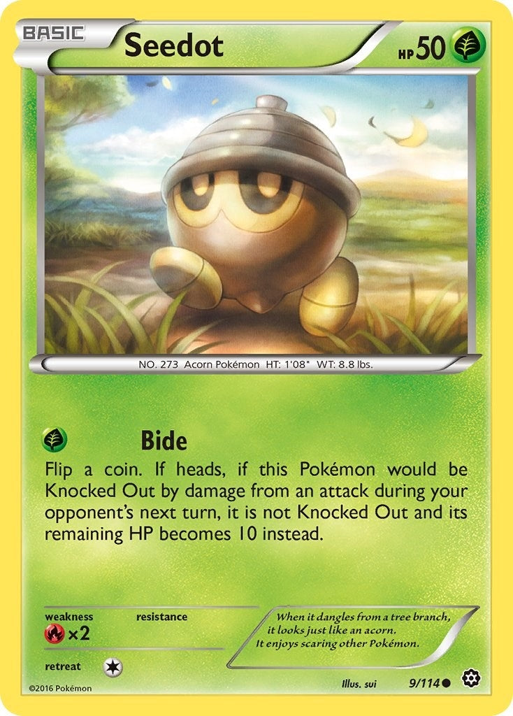 Image for Seedot (9/114) [XY - Steam Siege] - Pokemon