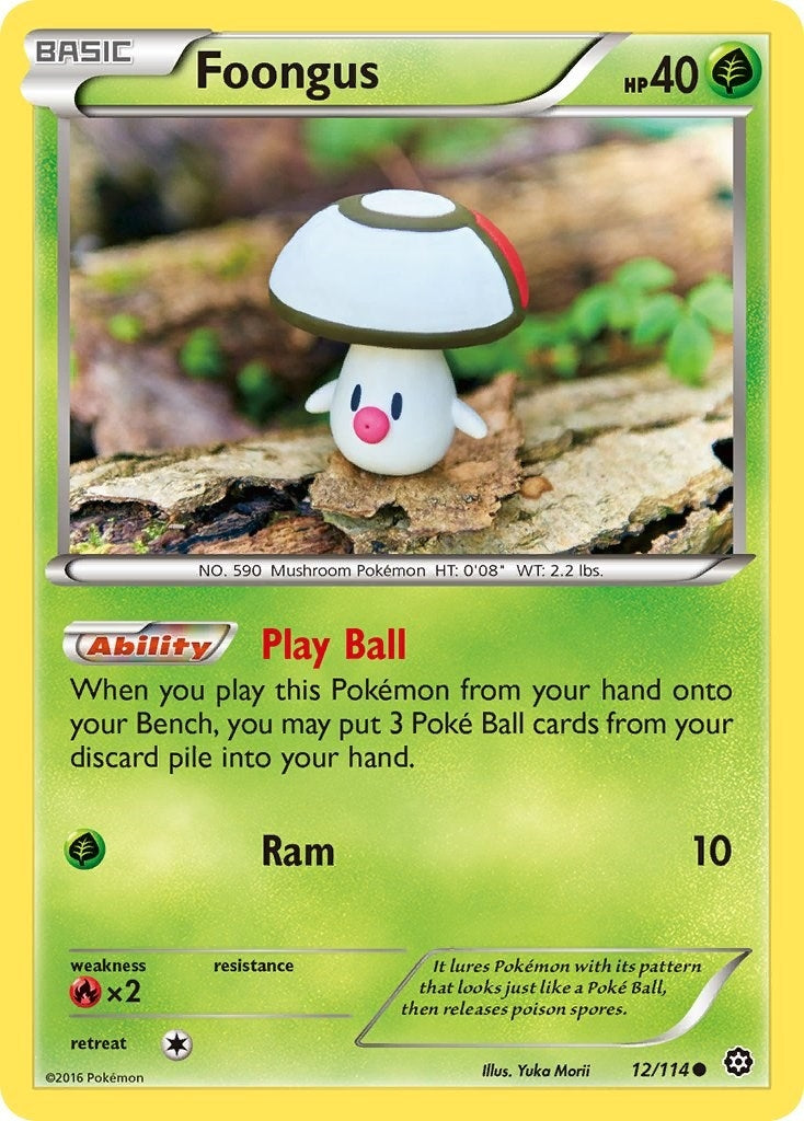 Image for Foongus (12/114) [XY - Steam Siege] - Pokemon