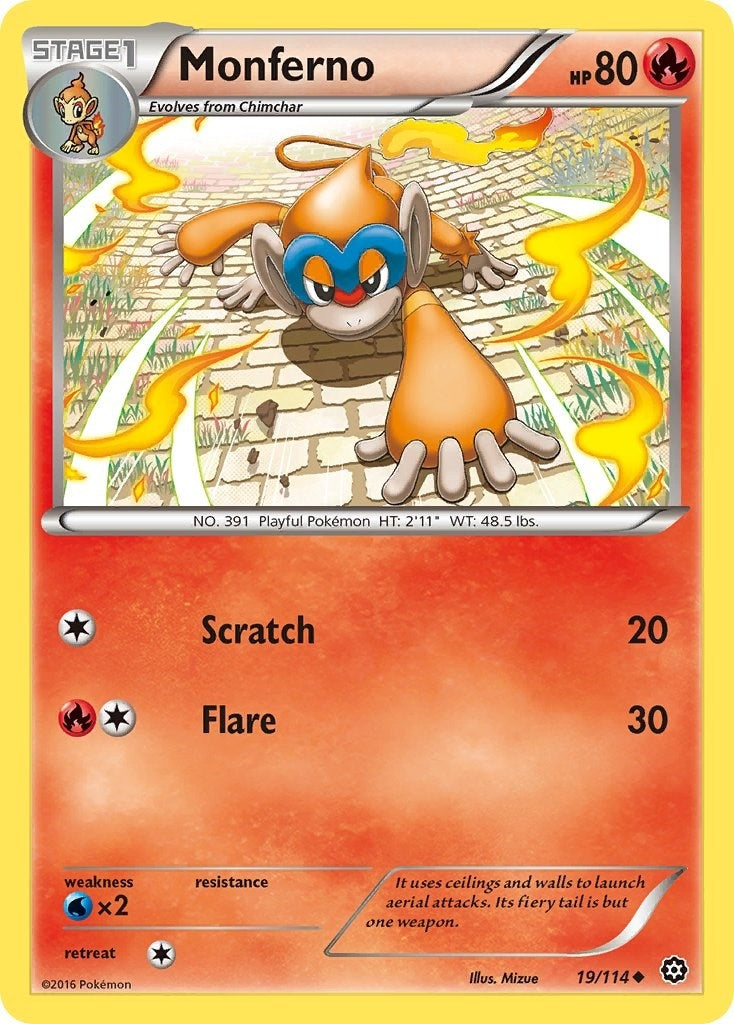 Image for Monferno (19/114) [XY - Steam Siege] - Pokemon
