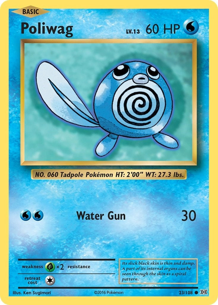 Image for Poliwag (23/108) [XY - Evolutions] - Pokemon