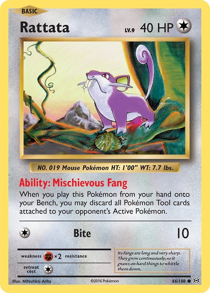 Image for Rattata (66/108) [XY - Evolutions] - Pokemon