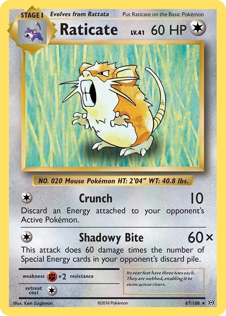 Image for Raticate (67/108) [XY - Evolutions] - Pokemon