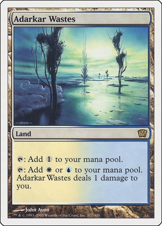 Image for Adarkar Wastes (317) [9th Edition] - Magic: The Gathering