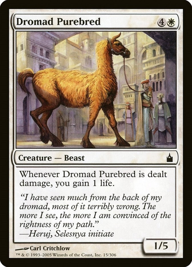 Image for Dromad Purebred (15) [Ravnica: City of Guilds] - Magic: The Gathering