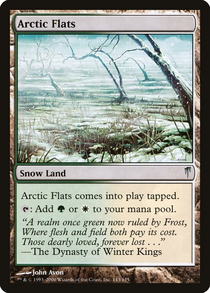 Image for Arctic Flats (143) [Coldsnap] - Magic: The Gathering