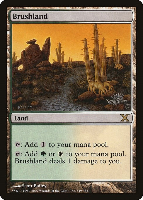 Image for Brushland (349) [10th Edition] - Magic: The Gathering
