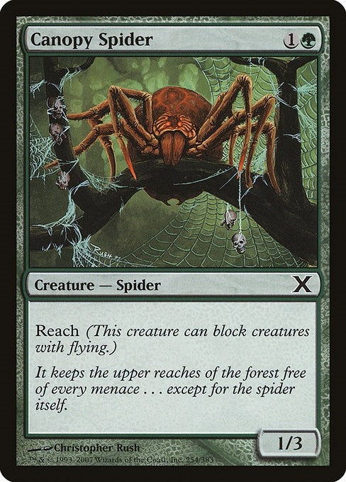 Image for Canopy Spider (254) [10th Edition] - Magic: The Gathering