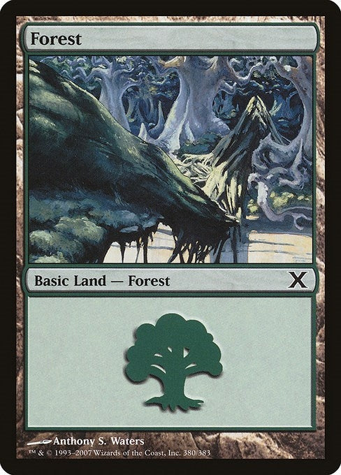 Image for Forest (380) (380) [10th Edition] - Magic: The Gathering