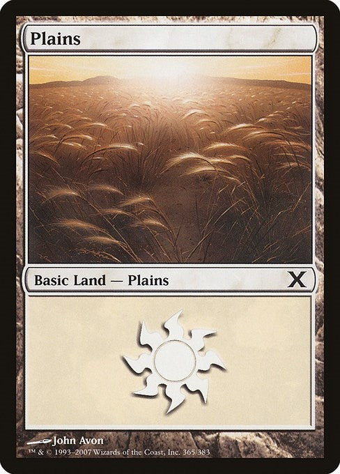 Image for Plains (365) (365) [10th Edition] - Magic: The Gathering
