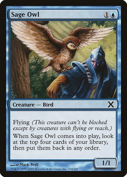 Image for Sage Owl (104) [10th Edition] - Magic: The Gathering