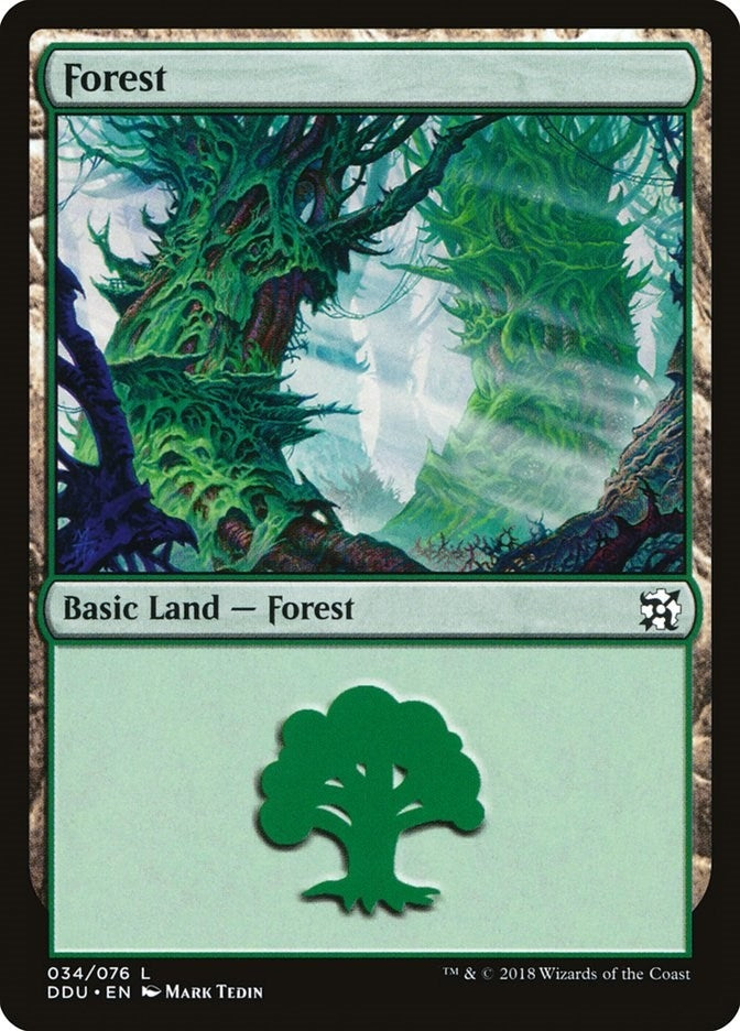 Image for Forest (034) (34) [Elves vs. Inventors] - Magic: The Gathering