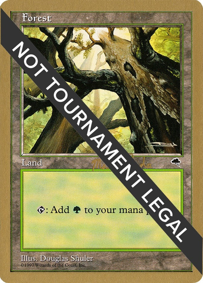 Image for Forest (Skyward) - 1999 Matt Linde (TMP) [World Championship Decks] - Magic: The Gathering