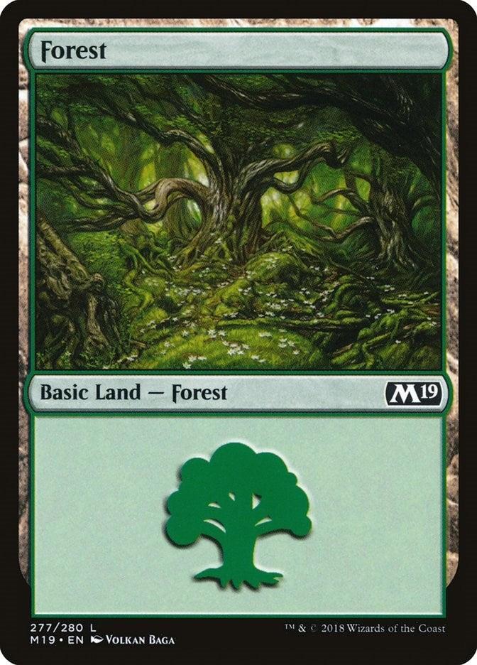 Image for Forest (277) (277) [Core Set 2019] - Magic: The Gathering