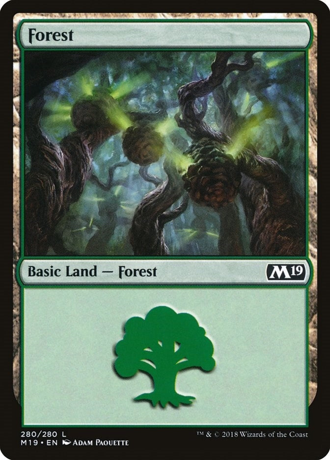 Image for Forest (280) (280) [Core Set 2019] - Magic: The Gathering