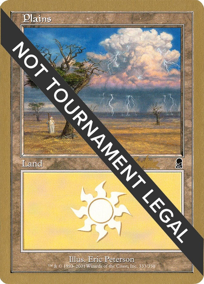 Image for Plains (333) - 2002 Brian Kibler (ODY) [World Championship Decks] - Magic: The Gathering