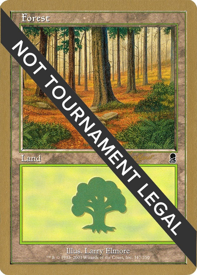 Image for Forest (347) - 2002 Raphael Levy (ODY) [World Championship Decks] - Magic: The Gathering