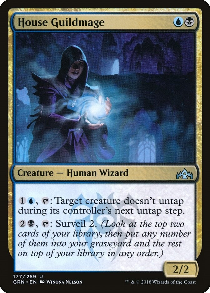 Image for House Guildmage (177) [Guilds of Ravnica] - Magic: The Gathering
