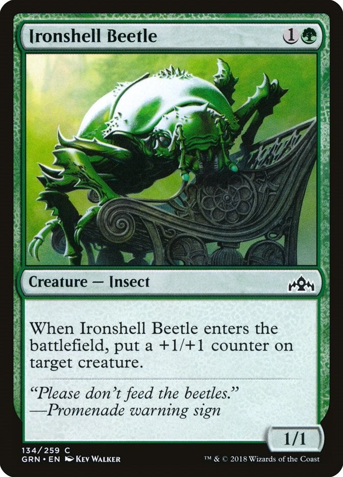 Image for Ironshell Beetle (134) [Guilds of Ravnica] - Magic: The Gathering