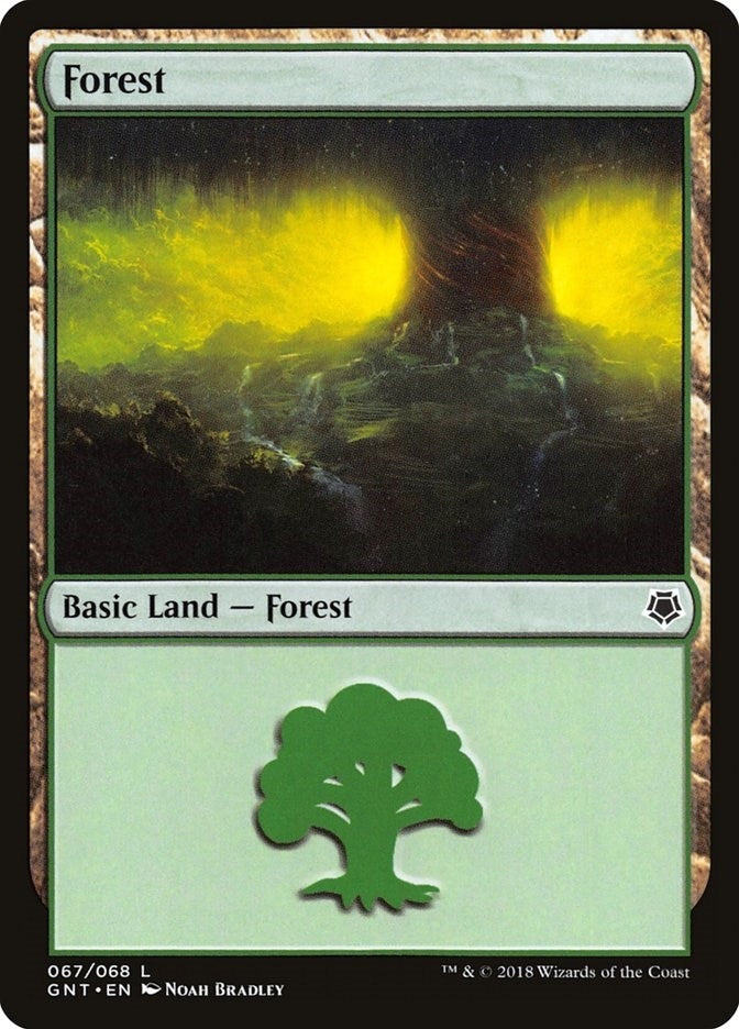 Image for Forest (067) (67) [Magic Game Night] - Magic: The Gathering
