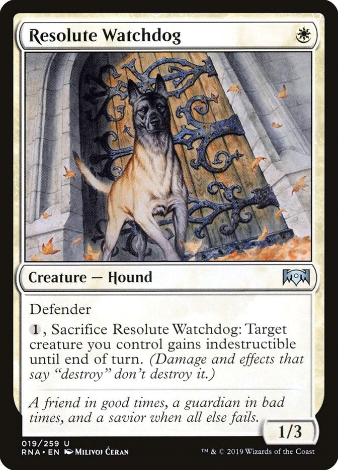 Image for Resolute Watchdog (19) [Ravnica Allegiance] - Magic: The Gathering