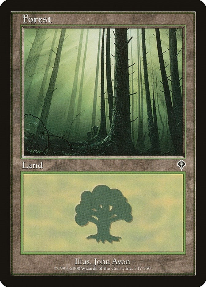 Image for Forest (347) (347) [Invasion] - Magic: The Gathering
