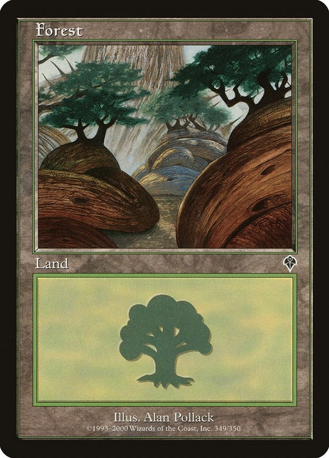 Image for Forest (349) (349) [Invasion] - Magic: The Gathering