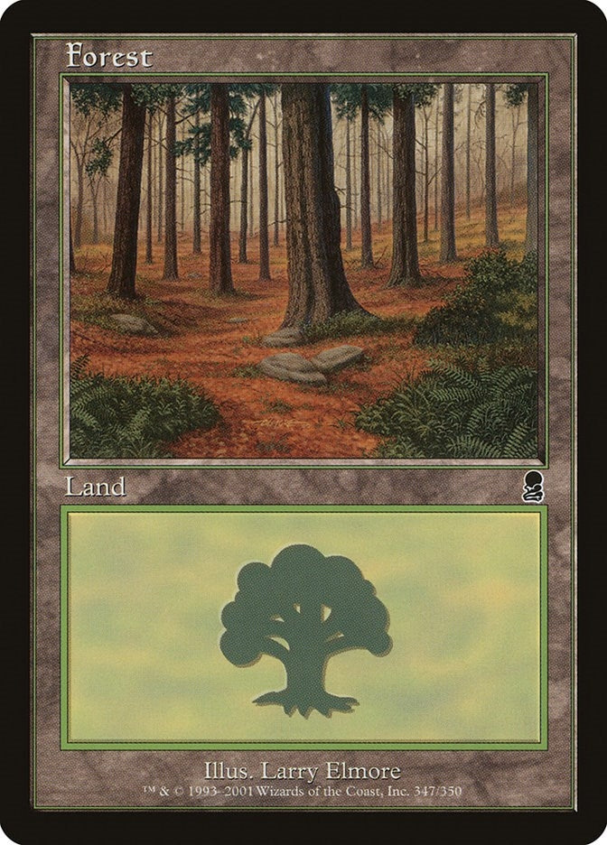 Image for Forest (347) (347) [Odyssey] - Magic: The Gathering