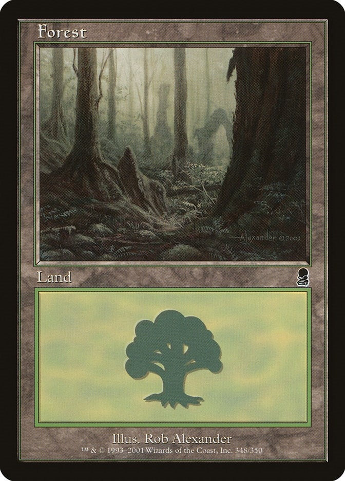Image for Forest (348) (348) [Odyssey] - Magic: The Gathering
