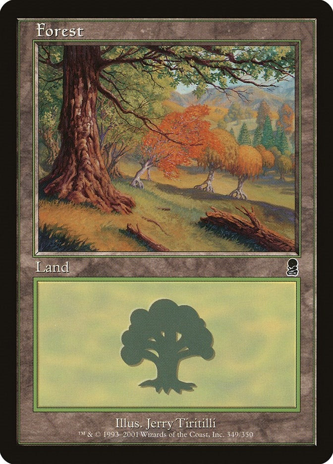 Image for Forest (349) (349) [Odyssey] - Magic: The Gathering