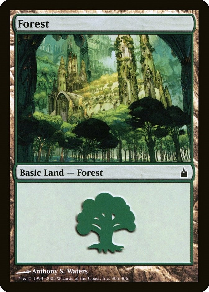 Image for Forest (305) (305) [Ravnica: City of Guilds] - Magic: The Gathering