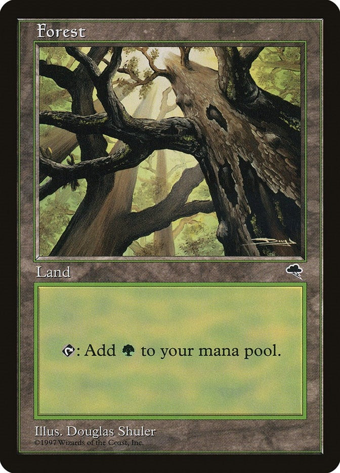 Image for Forest (Skyward) (347) [Tempest] - Magic: The Gathering