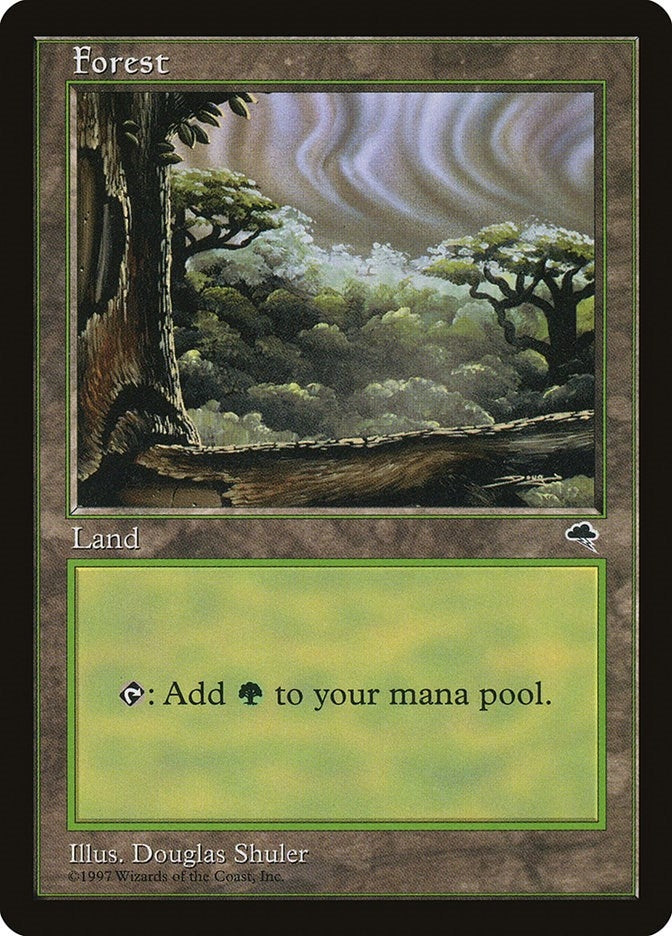 Image for Forest (Cloudy) (349) [Tempest] - Magic: The Gathering