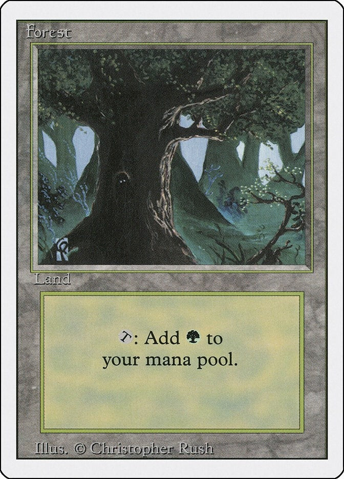 Image for Forest (C) (285) [Revised Edition] - Magic: The Gathering