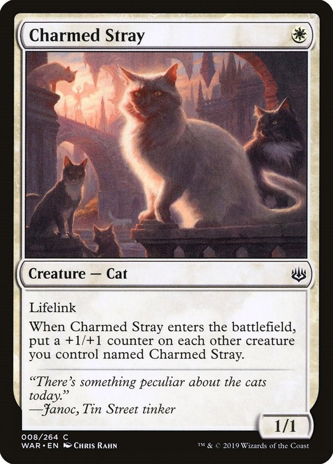Image for Charmed Stray (8) [War of the Spark] - Magic: The Gathering
