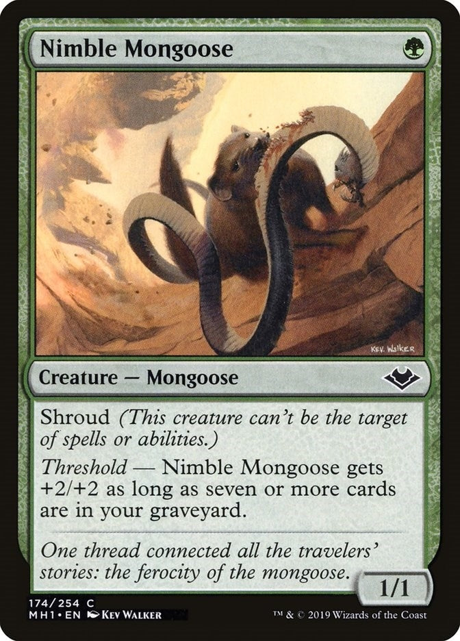 Image for Nimble Mongoose (174) [Modern Horizons] - Magic: The Gathering