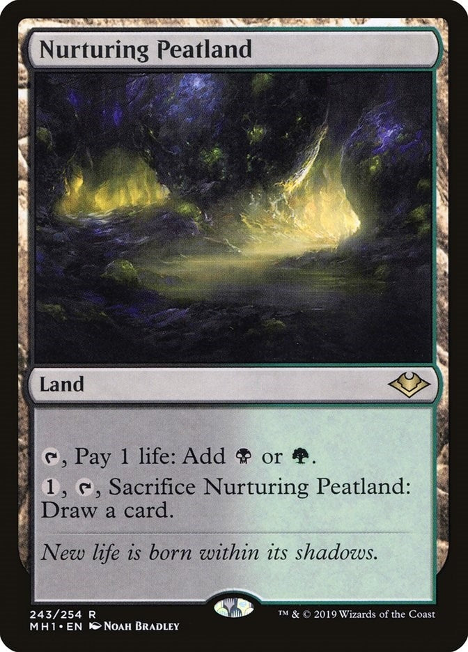 Image for Nurturing Peatland (243) [Modern Horizons] - Magic: The Gathering
