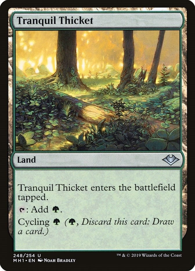 Image for Tranquil Thicket (248) [Modern Horizons] - Magic: The Gathering