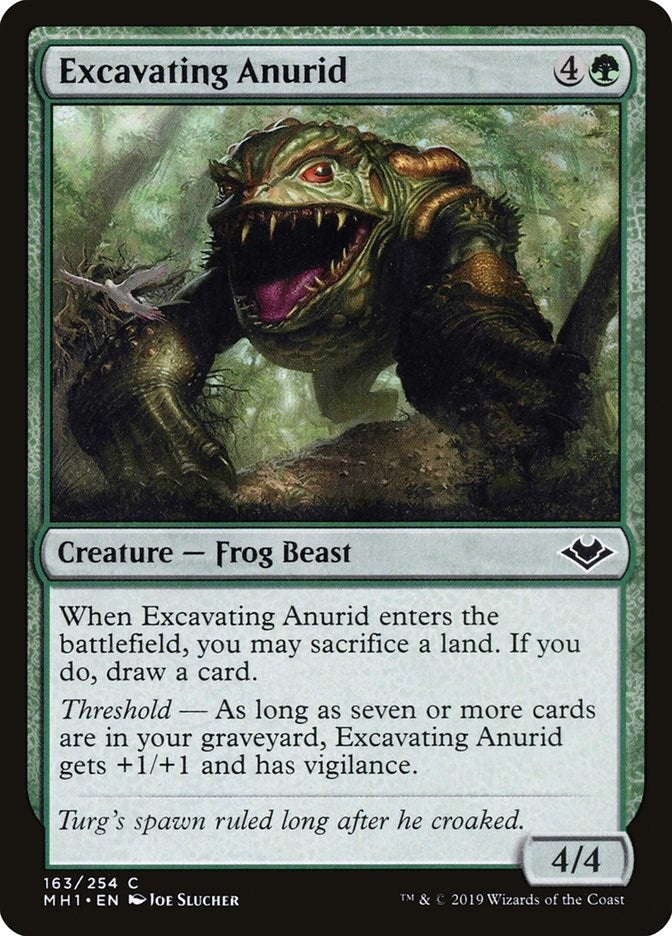 Image for Excavating Anurid (163) [Modern Horizons] - Magic: The Gathering