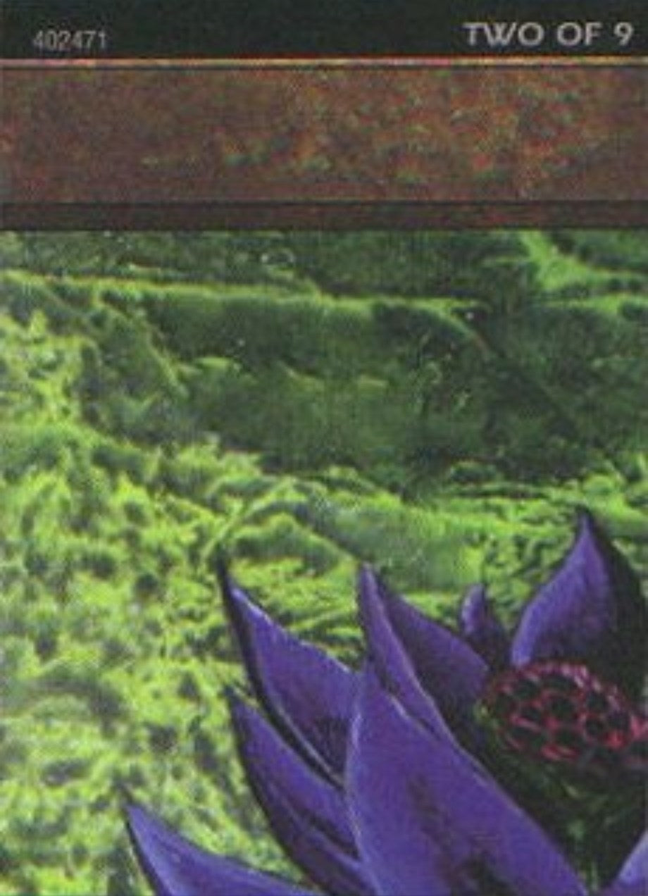 Image for Black Lotus (2 of 9) (Ultra Pro Puzzle Quest) (1) [Media Promos] - Magic: The Gathering