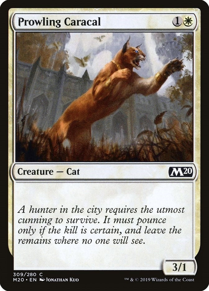 Image for Prowling Caracal (309) [Core Set 2020] - Magic: The Gathering