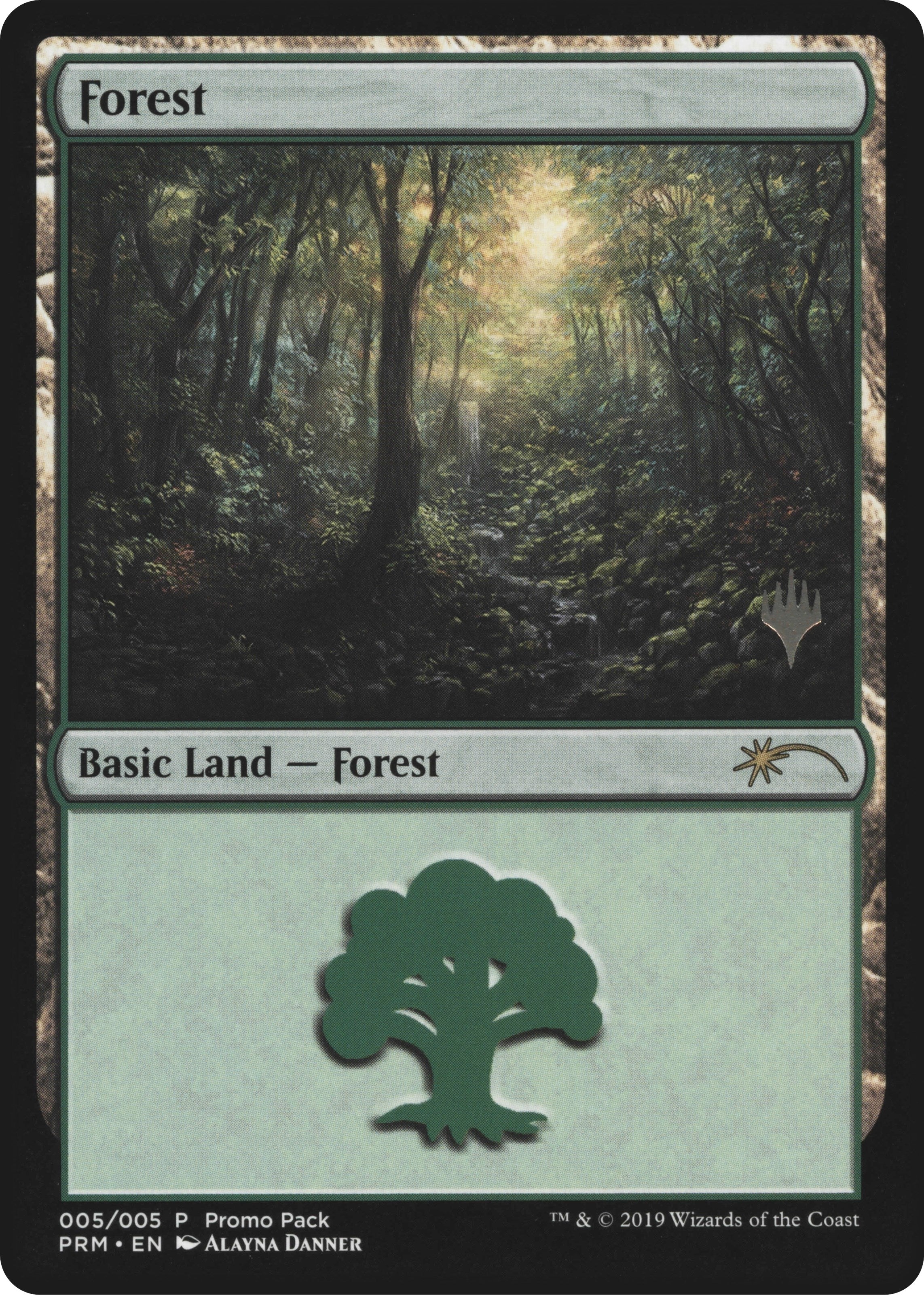 Image for Forest (5) [Core Set 2020] - Magic: The Gathering