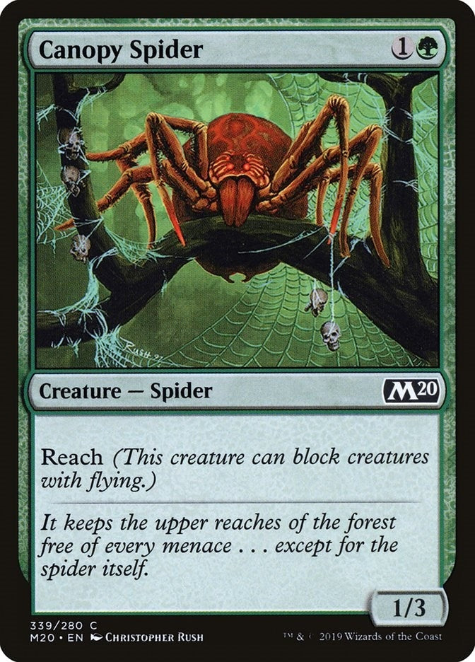 Image for Canopy Spider (339) [Core Set 2020] - Magic: The Gathering