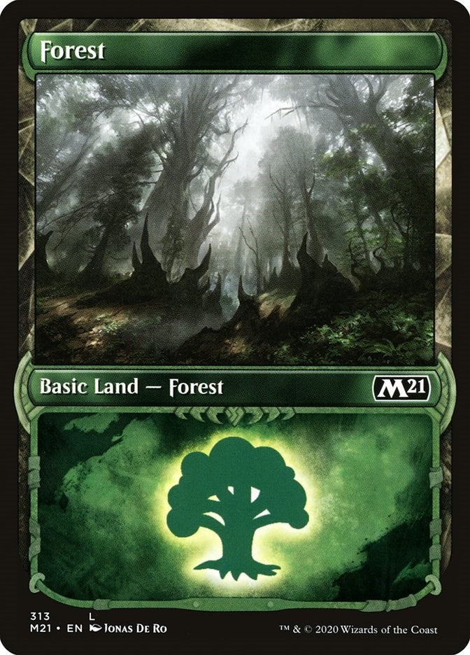 Image for Forest (Showcase) (313) [Core Set 2021] - Magic: The Gathering