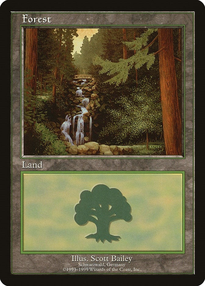 Image for Forest - Schwarzwald (1) [European Lands] - Magic: The Gathering
