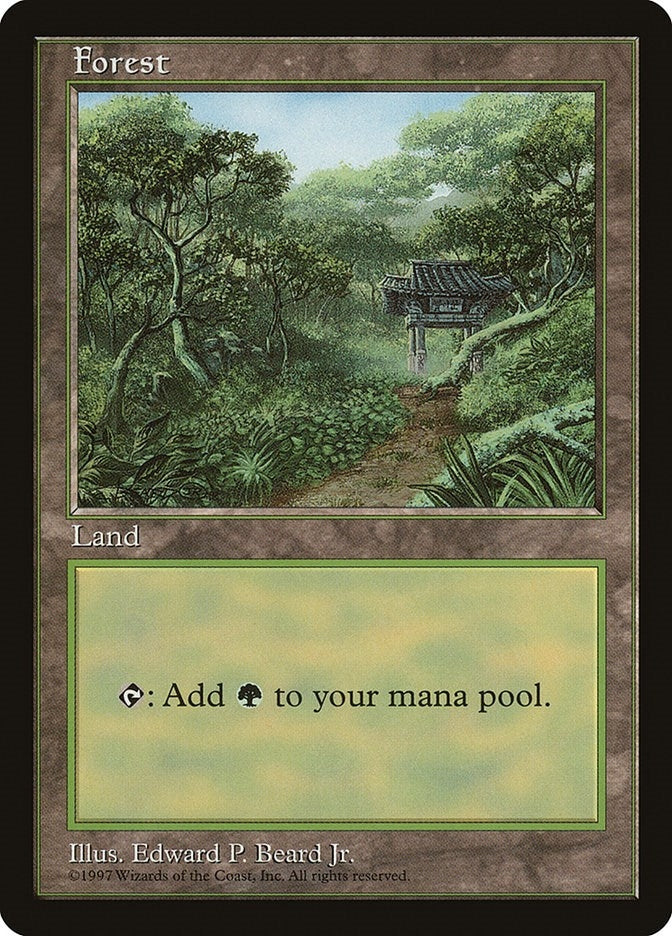 Image for Forest - Clear Pack (Beard, Jr.) [APAC Lands] - Magic: The Gathering