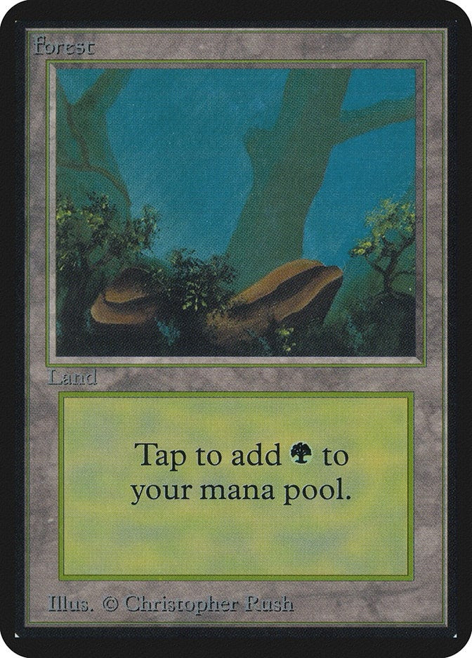 Image for Forest (A) [Alpha Edition] - Magic: The Gathering