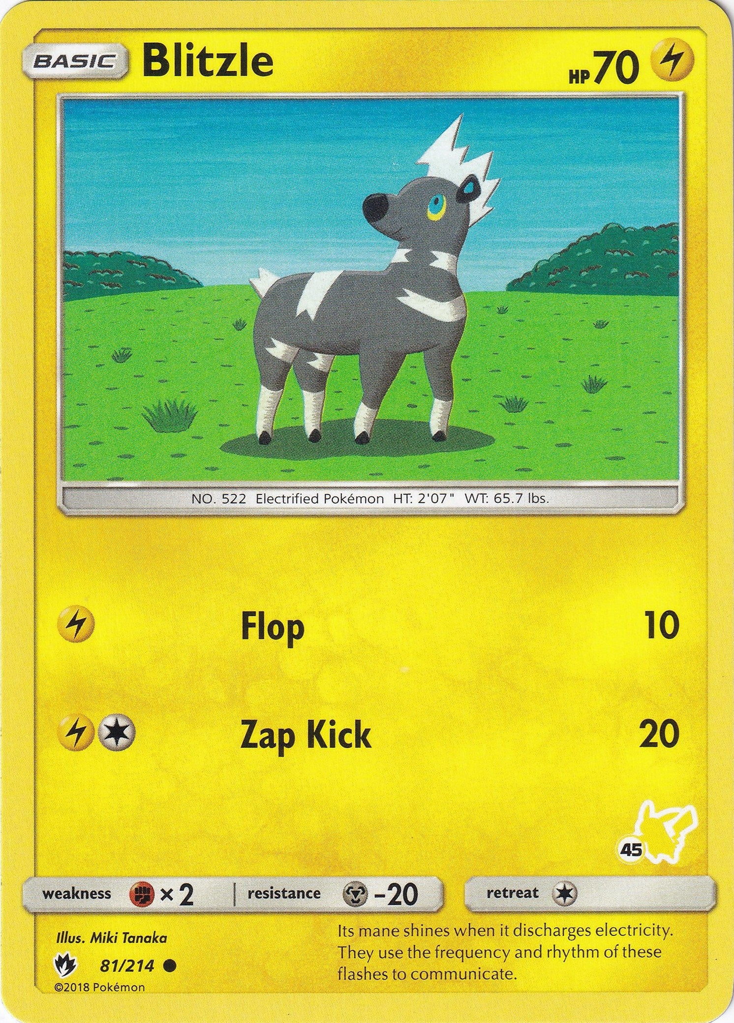Image for Blitzle - 81/214 (#45 Pikachu Stamped) (081/214) [Battle Academy] - Pokemon
