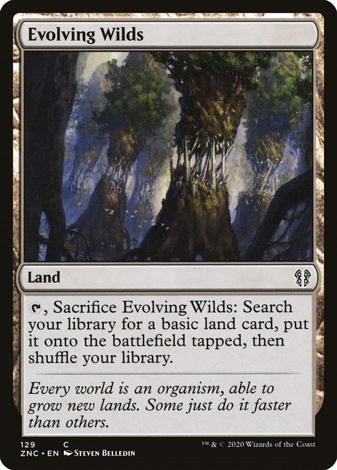 Image for Evolving Wilds (129) [Zendikar Rising] - Magic: The Gathering