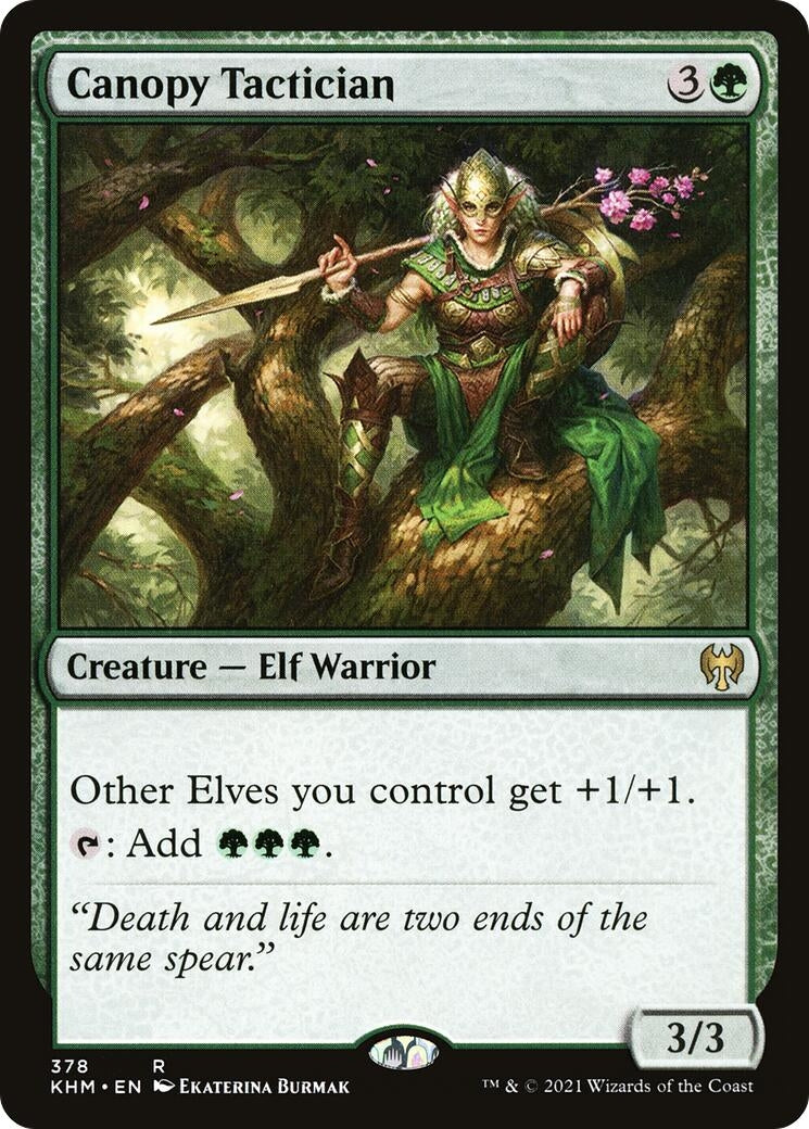 Image for Canopy Tactician (378) [Kaldheim] - Magic: The Gathering